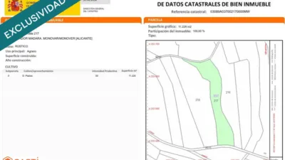 Terreno en venta en Monòver - Monóvar - Vista 5