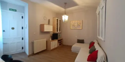 Apartment in Palacio photo 3