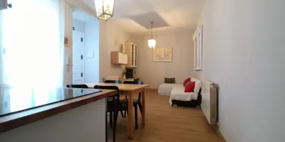 Apartment in Palacio photo 4