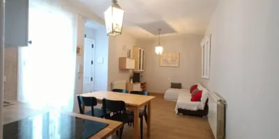 Apartment in Palacio photo 5