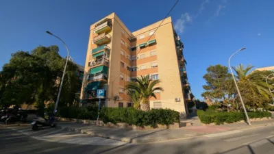 Apartment on Calle del Senador José Vicente Mateo photo 29