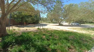 Rustic Finca in Huerta La Monarda photo 43
