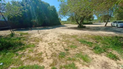 Rustic Finca in Huerta La Monarda photo 48