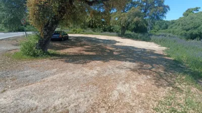 Rustic Finca in Huerta La Monarda photo 49