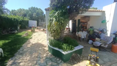 Rustic Finca in Huerta La Monarda photo 56