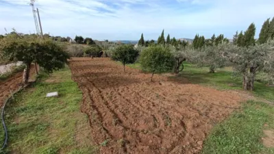 Rustic Finca in Andalucia photo 11