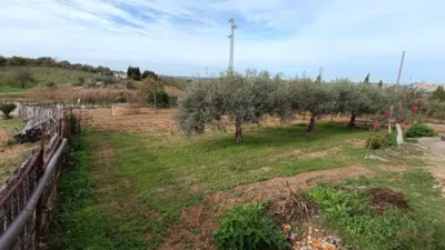 Rustic Finca in Andalucia photo 12