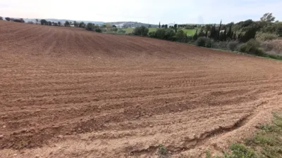 Rustic Finca in Andalucia photo 13