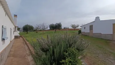 Rustic Finca in Andalucia photo 30