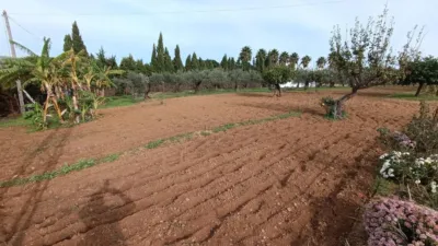 Rustic Finca in Andalucia photo 31