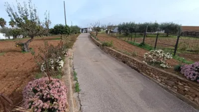 Rustic Finca in Andalucia photo 3