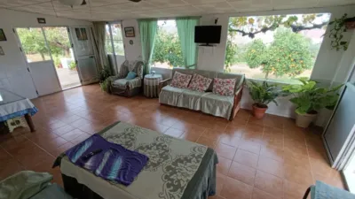 Rustic Finca in Andalucia photo 5