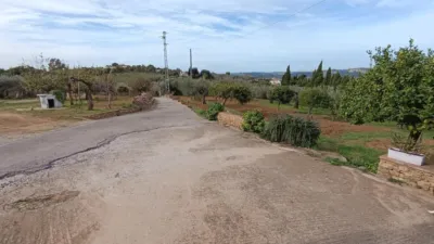 Rustic Finca in Andalucia photo 6