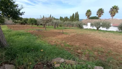 Rustic Finca in Andalucia photo 7