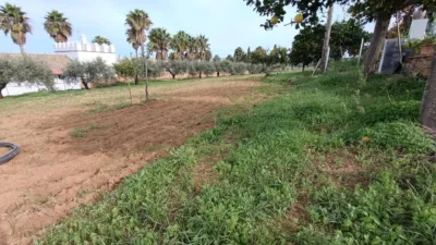 Rustic Finca in Andalucia photo 9