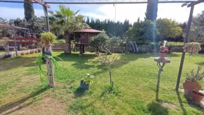 Rustic Finca in Andalucia photo 12
