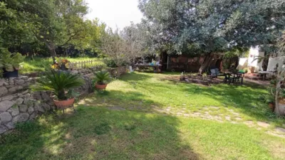 Rustic Finca in Andalucia photo 16