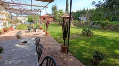 Rustic Finca in Andalucia photo 3