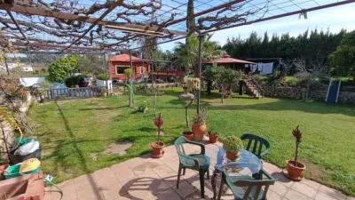 Rustic Finca in Andalucia photo 5