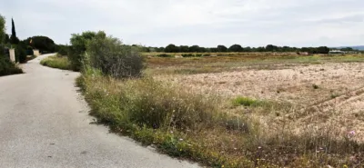 Terreno en venta en Elche - Vista 2