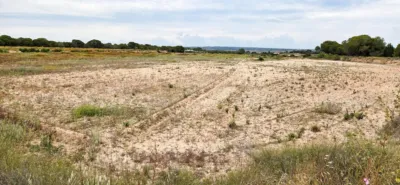 Terreno en venta en Elche - Vista 3