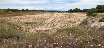 Terreno en venta en Elche - Vista 4