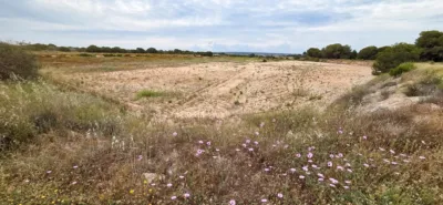 Terreno en venta en Elche - Vista 5