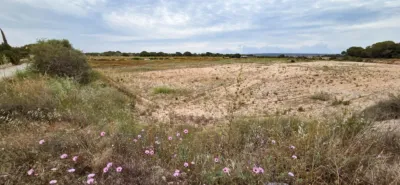 Terreno en venta en Elche - Vista 6