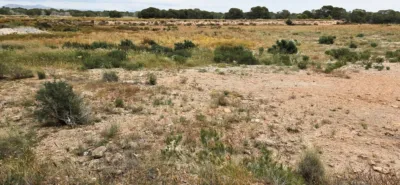 Terreno en venta en Elche - Més