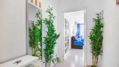 Apartment on La Santamaría Street photo 9