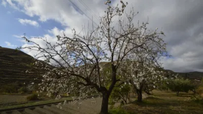 Rustic finca on Calle Balsa Grande photo 13