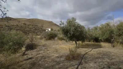 Rustic finca on Calle Balsa Grande photo 14