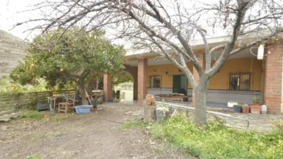 Rustic finca on Calle Balsa Grande photo 20