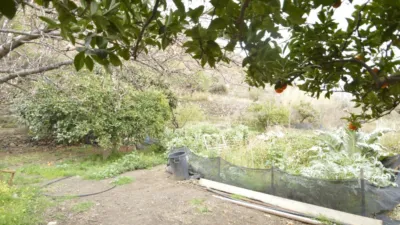 Rustic finca on Calle Balsa Grande photo 22