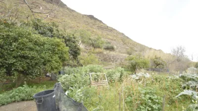 Rustic finca on Calle Balsa Grande photo 23