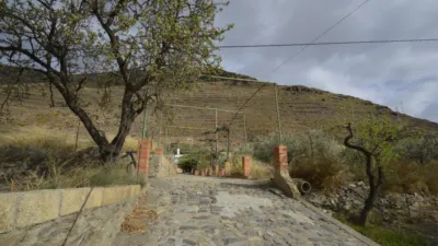 Rustic finca on Calle Balsa Grande photo 3