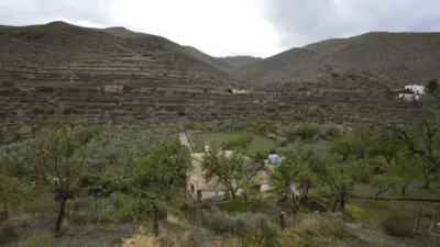 Rustic finca on Calle Balsa Grande photo 49