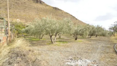 Rustic finca on Calle Balsa Grande photo 6