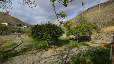 Rustic finca on Calle Balsa Grande photo 8