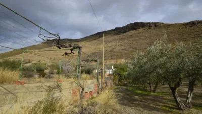 Rustic finca on Calle Balsa Grande photo 9