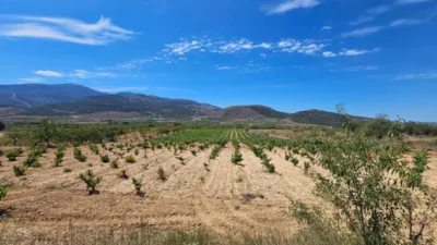 Rustic farm on Carretera Guarros street photo 2