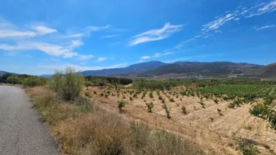 Rustic farm on Carretera Guarros street photo 3