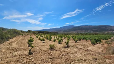 Rustic farm on Carretera Guarros street photo 4