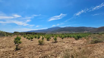 Rustic farm on Carretera Guarros street photo 5