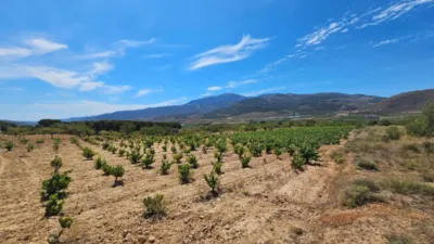 Rustic farm on Carretera Guarros street photo 8