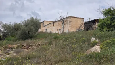 Rustic farm on Calle Diseminados, No. 1 photo 12