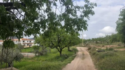 Rustic farm on Calle Diseminados, No. 1 photo 15