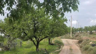 Rustic farm on Calle Diseminados, No. 1 photo 16