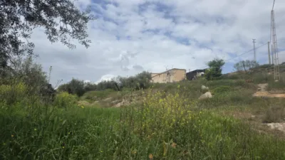 Rustic farm on Calle Diseminados, No. 1 photo 20