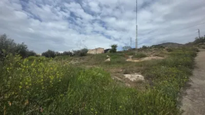 Rustic farm on Calle Diseminados, No. 1 photo 21